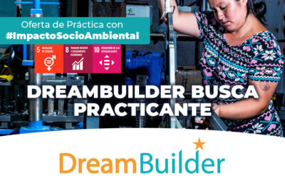 DreamBuilder busca practicante