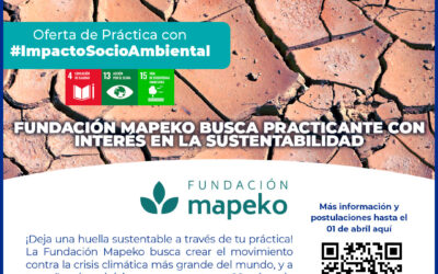 Fundación Mapeko busca practicante