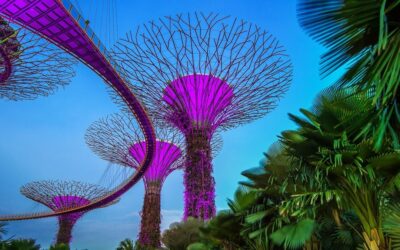 FEN iniciará su primer curso electivo con enfoque COIL